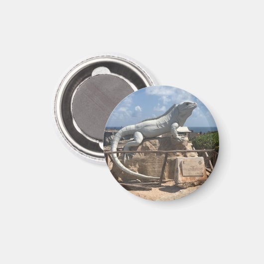 Iguana beeldhouwwerk Isla Mujeres, Mexico magneet (Voorkant / Achterkant)