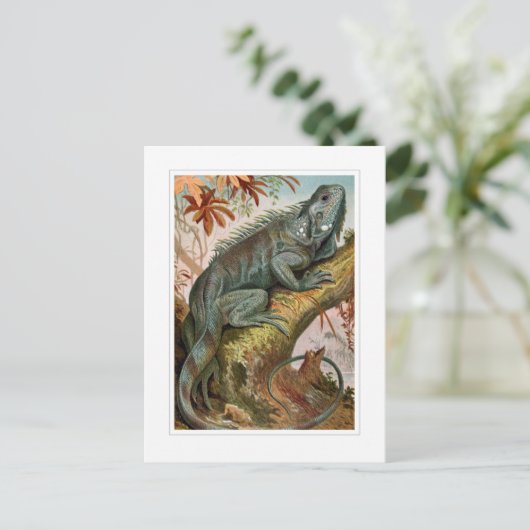 Iguana Briefkaart (Staand voorkant)