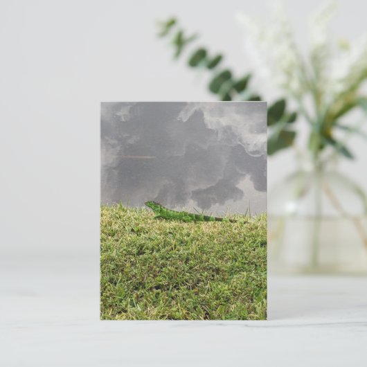 Iguana Briefkaart (Staand voorkant)