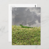 Iguana Briefkaart (Voorkant / Achterkant)