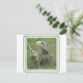 Iguana Briefkaart (Staand voorkant)