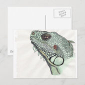 Iguana Briefkaart (Voorkant / Achterkant)