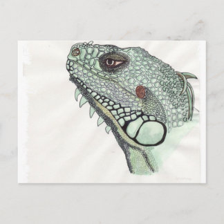 Iguana Briefkaart