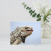 Iguana Briefkaart (Staand voorkant)