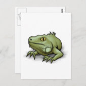 Iguana Briefkaart (Voorkant / Achterkant)