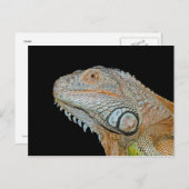 IGUANA BRIEFKAART (Voorkant / Achterkant)