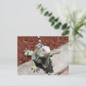 iguana briefkaart (Staand voorkant)