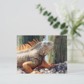 Iguana Briefkaart (Staand voorkant)