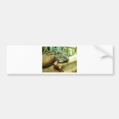 Iguana Bumpersticker (Voorkant)
