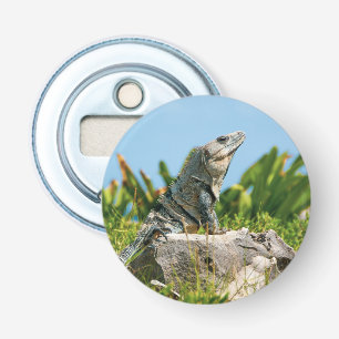 Iguana Button Flesopener