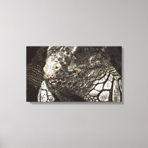Iguana Canvas Afdruk