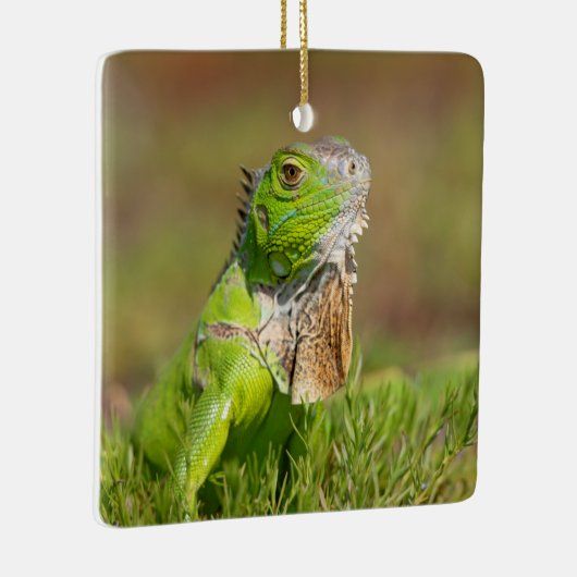 Iguana Ceramic Ornament (Rechts)