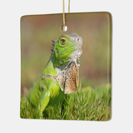 Iguana Ceramic Ornament (Links)
