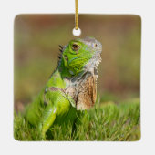 Iguana Ceramic Ornament (Achterkant)