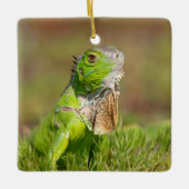 Iguana Ceramic Ornament (Voorkant)