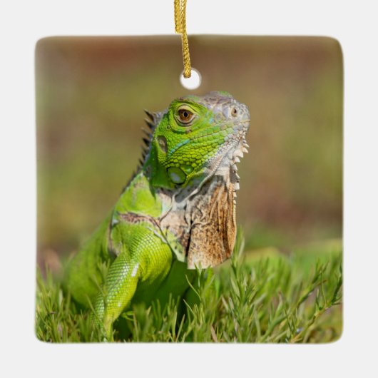 Iguana Ceramic Ornament (Voorkant)