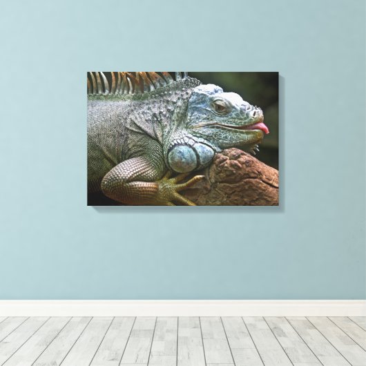 Iguana Close-Up canvas print (Insitu (Houten vloer))