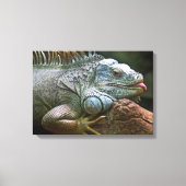 Iguana Close-Up canvas print (Voorkant)
