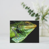 Iguana Close-up Foto Briefkaart (Staand voorkant)
