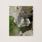 Iguana, Curaçao, Caraïbische eilanden, Foto Legpuzzel (Verticaal)