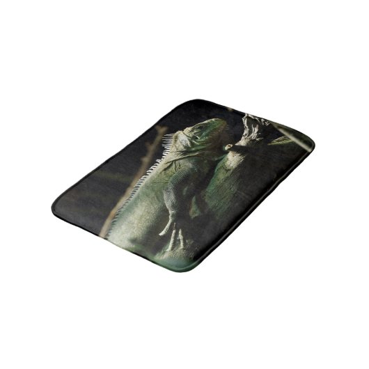 Iguana delicatissima badmat (Gekanteld)