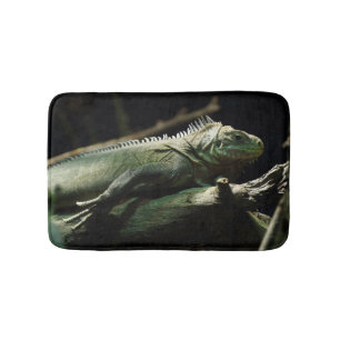 Iguana delicatissima badmat