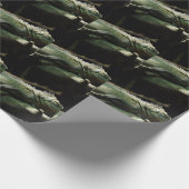 Iguana delicatissima cadeaupapier (Hoek)