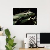 Iguana delicatissima poster (Thuiskantoor)