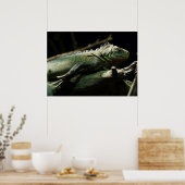 Iguana delicatissima poster (Keuken)