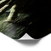 Iguana delicatissima poster (Hoek)