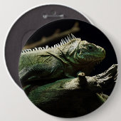 Iguana delicatissima ronde button 6,0 cm (Voorkant /achterkant)