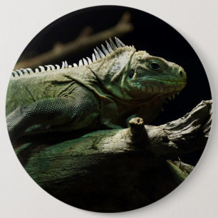 Iguana delicatissima ronde button 6,0 cm