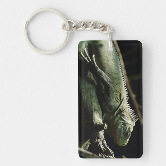 Iguana delicatissima sleutelhanger (Voorkant)