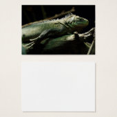 Iguana delicatissima visitekaartjes (Voorkant /achterkant)