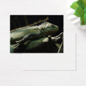 Iguana delicatissima visitekaartjes (Bureau)