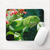 Iguana, Dier, Natuur Muismat (Met muis)