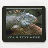 Iguana douane mousepad muismat (Voorkant)