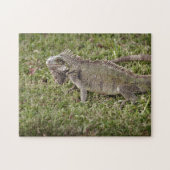 Iguana Exotic Reptile Pet Lizard Legpuzzel (Horizontaal)