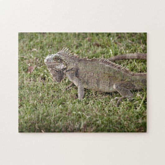 Iguana Exotic Reptile Pet Lizard Legpuzzel (Horizontaal)
