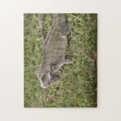 Iguana Exotic Reptile Pet Lizard Legpuzzel (Verticaal)
