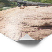 Iguana Foto Afdruk (Hoek)