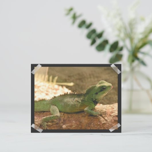 Iguana Foto's Briefkaart (Staand voorkant)