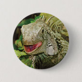 Iguana green ronde button 5,7 cm (Voorkant)