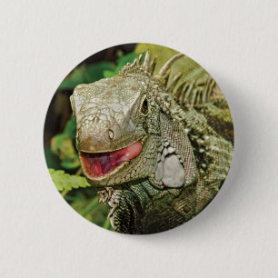 Iguana green ronde button 5,7 cm