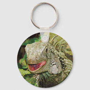 Iguana green sleutelhanger