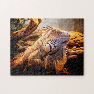 Iguana Head Close, Jigzaag Puzzle Legpuzzel