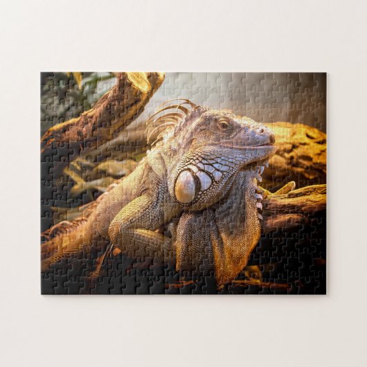 Iguana Head Close, Jigzaag Puzzle Legpuzzel (Horizontaal)