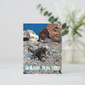 Iguana Hug You Briefkaarten (Staand voorkant)