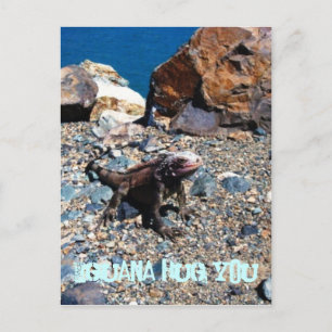 Iguana Hug You Briefkaarten