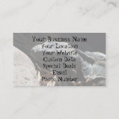 Iguana in de Shadows Visitekaartje (Achterkant)